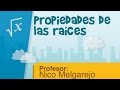 Propiedades de las raíces