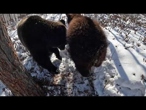 Операция по изьятию еды оказалась напрасной.