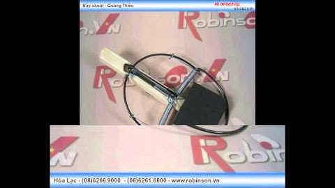 Bẫy nhử chuột Quang Thiều