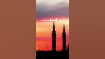 أَمَّن يُجِيبُ الْمُضْطَرَّ إِذَا دَعَاهُ القارئ احمد النفيس
