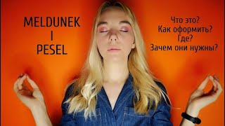 MELDUNEK I PESEL: зачем он нужен, кому выдают, как и где?!