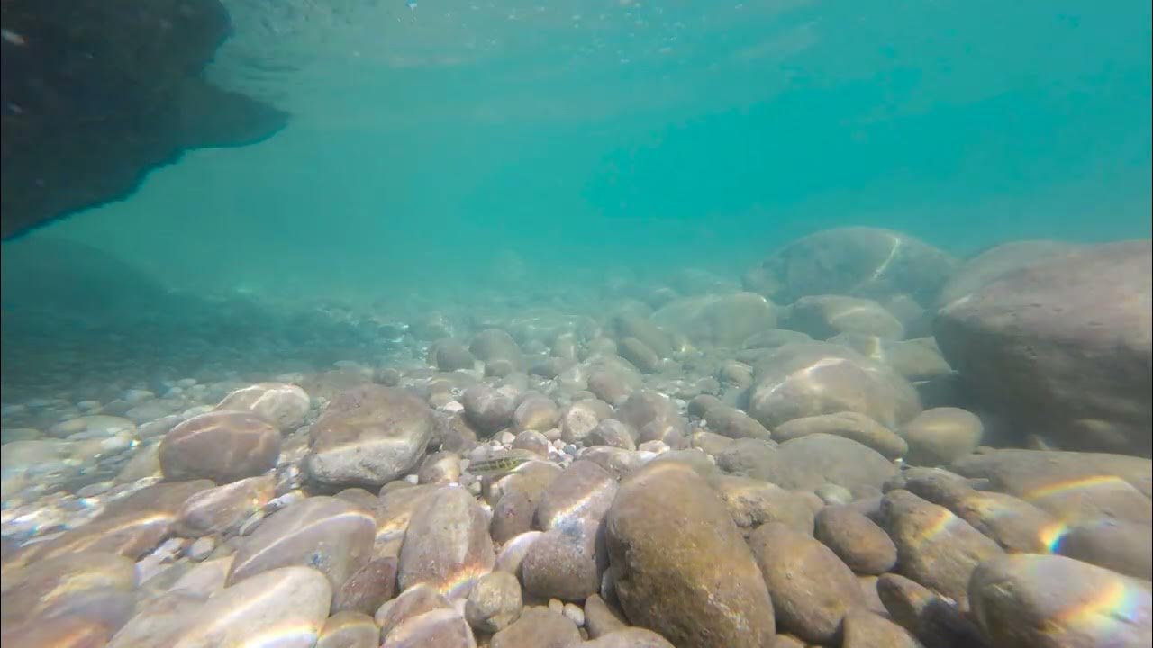 Fall asleep with underwater ocean waves, deep sleeping with ocean