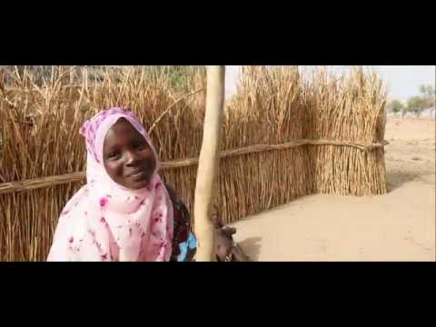 Video: Kan jeg saksøke skolen min for manglende utdanning?