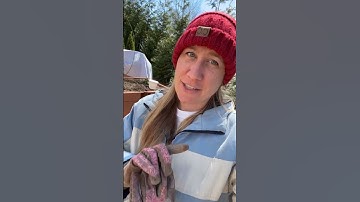 Which tiki torch do you think looks best? #homegardening #homestead