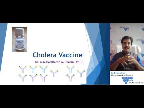 Production of Cholera Vaccine