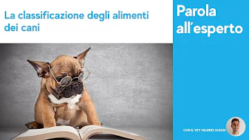 Come leggere etichetta cibo cane?