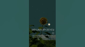 وَإِنَّ رَبَّكَ لَيَعْلَمُ مَا تُكِنُّ صُدُورُهُمْ وَمَا يُعْلِنُونَ | سورة النمل | إسلام صبحي