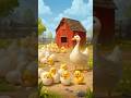 Chicken and ducks 🐣 @Shorts