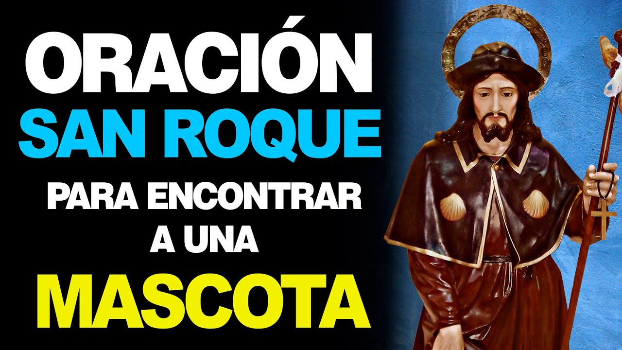 🙏 Oración A San Roque Para Que Aparezca Una Mascota Perdida 🐶 Youtube