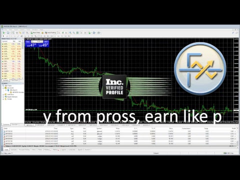 Profit Forex Signals Live Stream - 