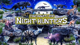 Zoo Tours: Night Hunters at the Cincinnati Zoo