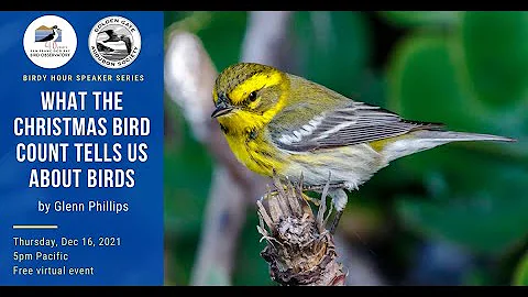 What the Christmas Bird Count Tells Us About Birds...