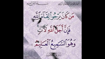 سورة العنكبوت الآية ( 5 )