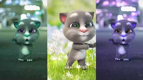 Mèo Talking Tom Cute Dancing Baby | Dancing Tom Colors | TIK TOK #27