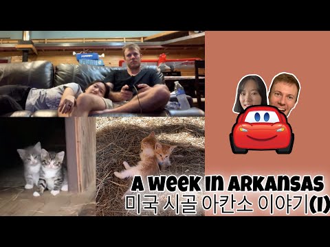 🇺🇸🇰🇷 A week in Arkansas(I) | A Korean wife in America | 미국 아칸소 시골 이야기(1편)| International Couple