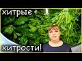 Кухонные ХИТРОСТИ, о которых мечтает узнать каждая ХОЗЯЙКА!!!