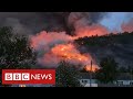 New video by BBC News on YouTube