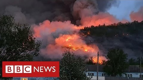 Wildfires in Arctic Circle release record amounts of greenhouse gases  - BBC News