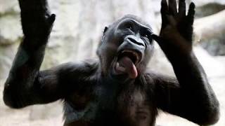 Zvieratká Trochu Inak 2