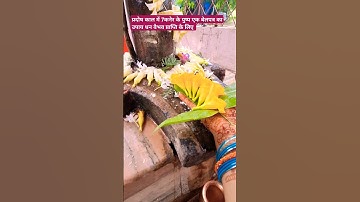 7कनेर के पुष्प एक #बेलपत्र का उपाय धन वैभव प्राप्ति के लिए करे उपाय प्रदोष के दिन काल में #trending