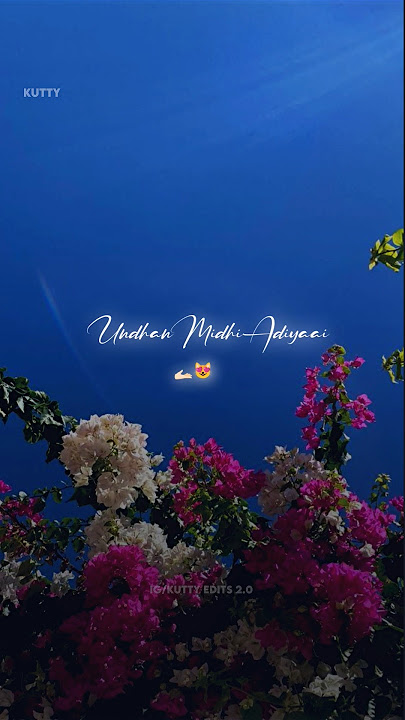 Undhan Madiyinile Oru nooru Aanduvaala Vendumadi lyrics Status Tamil #love#kuttyeditsofc#statustamil