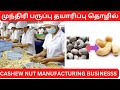 Cashew nut manufacturing business  cashew nut factorybusinessidea business smallbusinessideas
