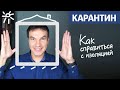 Как справиться с изоляцией | Карантин