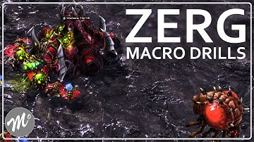 How to Train Zerg Macro: Macro Drills - A Portal to StarCraft (Episode 7 Part 2)