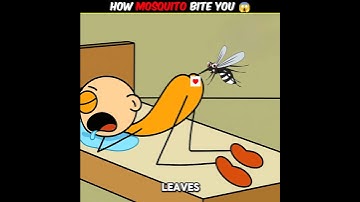 Hoe een mug je bijt 😱 #shorts