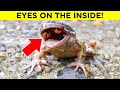 Bizarre Discoveries Found In Unexpected Places - Part 2