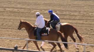 Gunnevera 5 15 2017