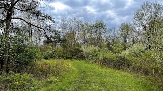 Blendon Woods Metro Park Sugarbush Trail