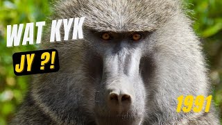 Bobbejane Ou Afrikaanse tv program deur Kobie Kruger