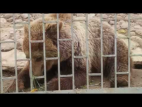 Экскурсия в Станьково. Зоосад