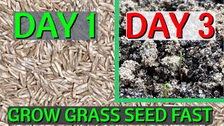 How To Grow Grass Seed Fast Cheat Nature And Grow Grass In 2 Days