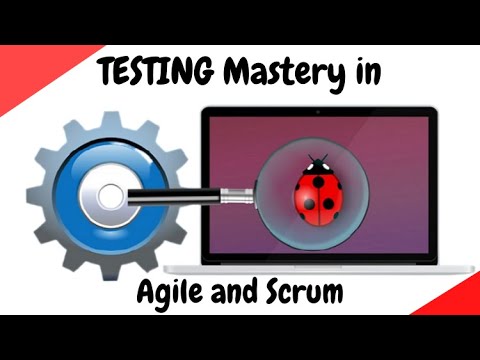 Software Testing Course – Videotraining für QA im Sprint