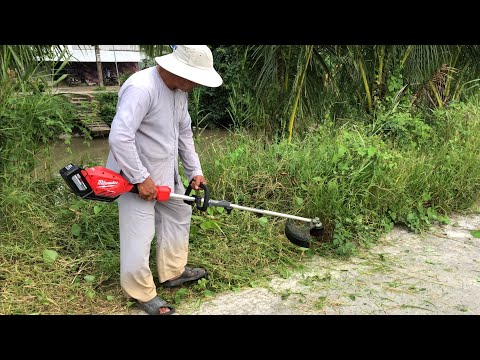 Video: Máy Cắt Cỏ Chạy điện: Máy Cắt Cỏ Chạy điện Hàng đầu Năm 2021. Làm Thế Nào để Chọn Máy Cắt Cỏ Cầm Tay Có Dao Và đường Chỉ? Phản Hồi Khách Hàng