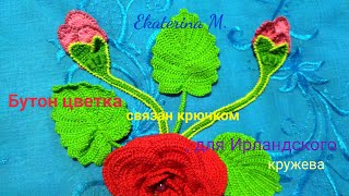 Бутон цветка для Ирландского кружева. Бутон цветка для Ирландского кружева.
