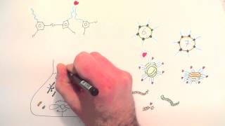 Chemical evolution: creating life