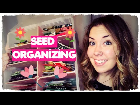 The Best Way to Easily Organize & Store Seeds - Smiling Soil