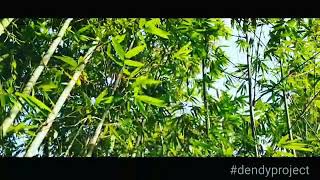 Cinematic panorama Alam releksasi