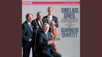 Sibelius: String Quartet in D minor, Op. 56 "Voces intimae" - 1. Andante - Allegro molto moderato