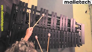 The Omega Dampening System