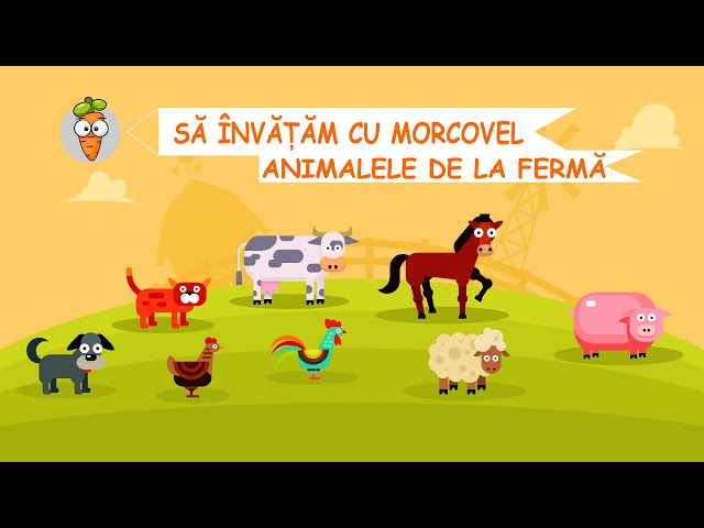 Sa invatam cu Morcovel - Animalele de la Ferma class=