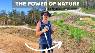 Natural Erosion Control Pt 1 - Transplanting Local Grasses, Lomandra & Building a Rock Drain