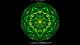 Hadron Orchestra - Psychedelic Resonances from Infinite Possibilities [Full Album]