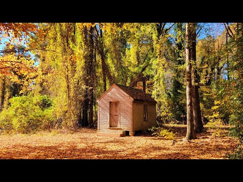 Video: Cabină în Olanda Park Fit pentru moderne-Day Thoreau