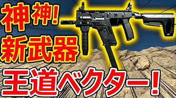 【CoD:MW】遂に! 新武器にCoD王道のベクターが追加!!『最強 連射速度でThe SMG!!』【実況者ジャンヌ】