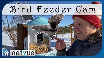 Security Camera in a Birdfeeder (Specification Review) - Birdfy by NETVUE