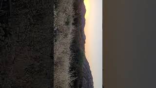 Sunset over Cibbets Flat
